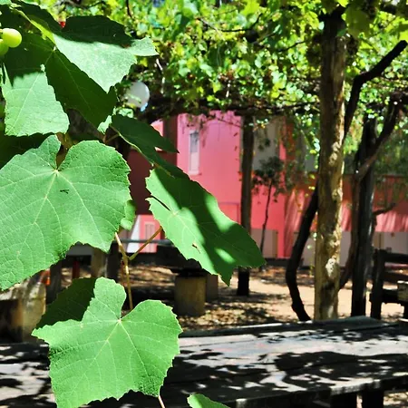 Camping Villaggio Calanovella * Piraino